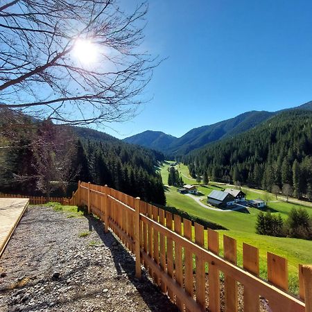 Huette Neuhaus Villa Annaberg im Lammertal Eksteriør billede