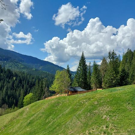 Huette Neuhaus Villa Annaberg im Lammertal Eksteriør billede