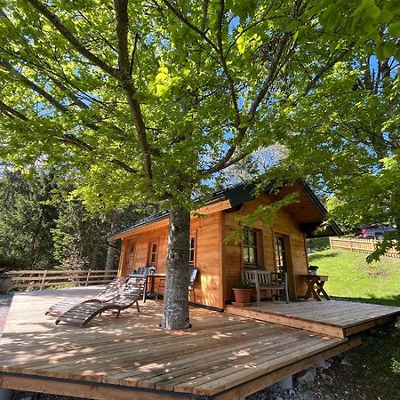 Huette Neuhaus Villa Annaberg im Lammertal Eksteriør billede