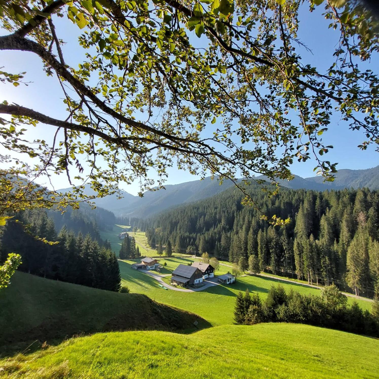 Huette Neuhaus Villa Annaberg im Lammertal Eksteriør billede