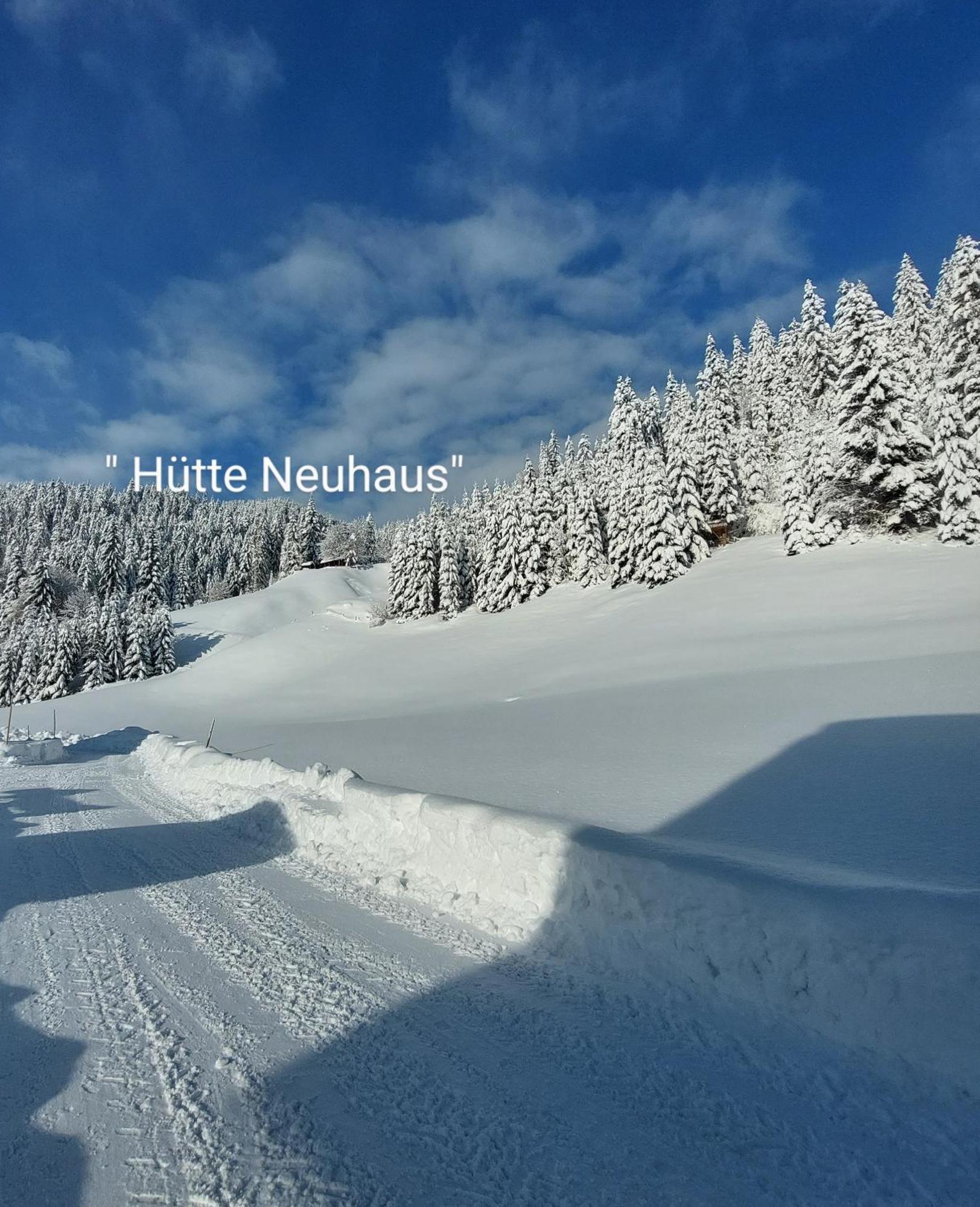 Huette Neuhaus Villa Annaberg im Lammertal Eksteriør billede