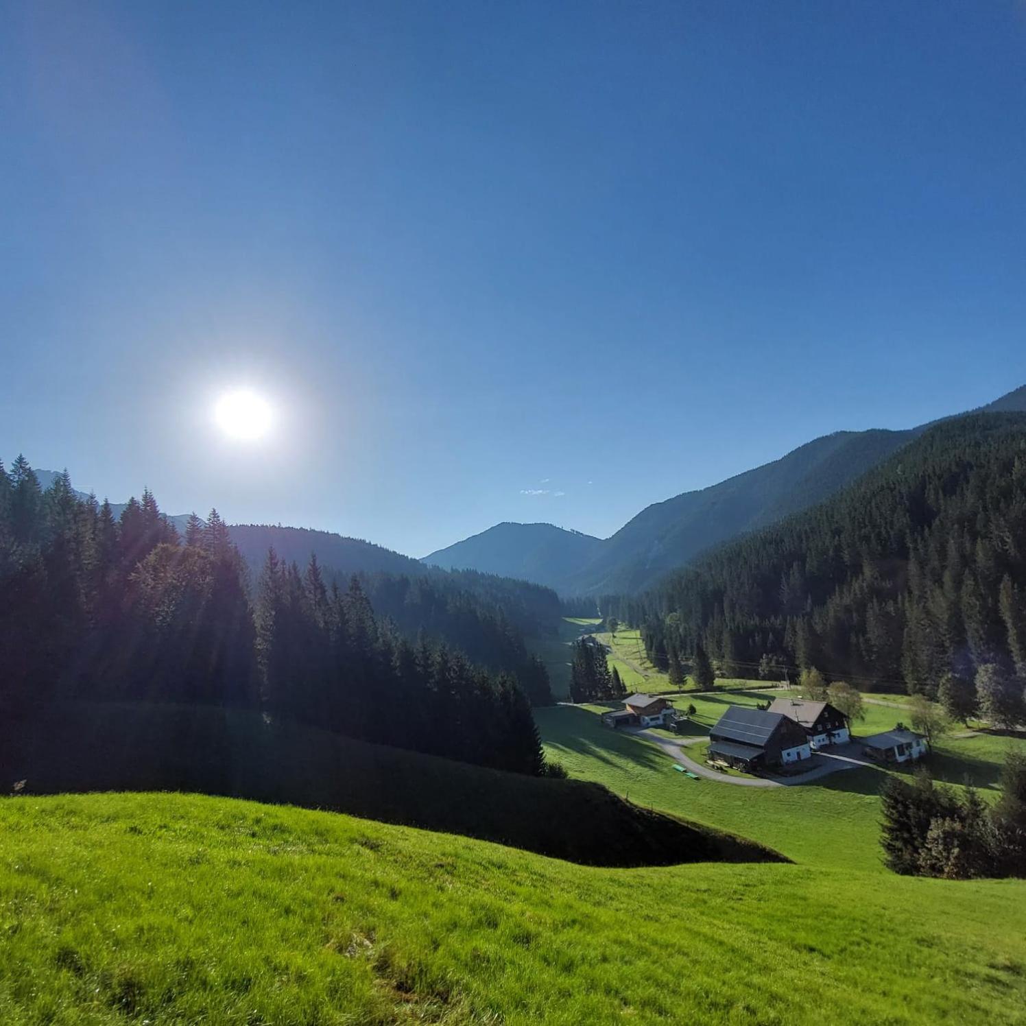 Huette Neuhaus Villa Annaberg im Lammertal Eksteriør billede