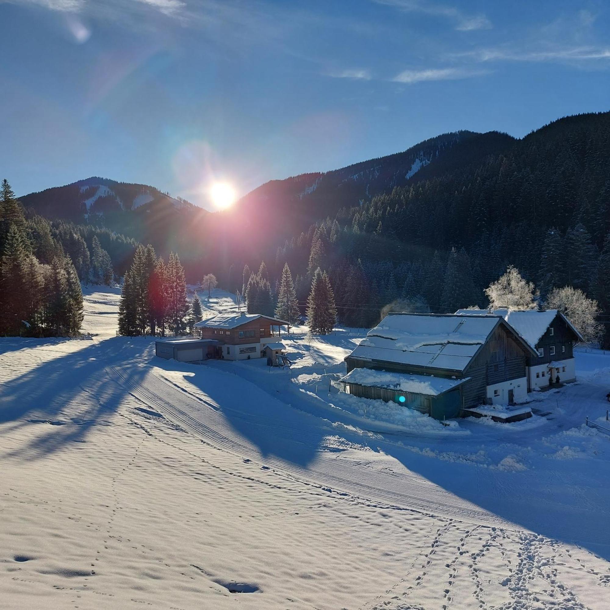 Huette Neuhaus Villa Annaberg im Lammertal Eksteriør billede