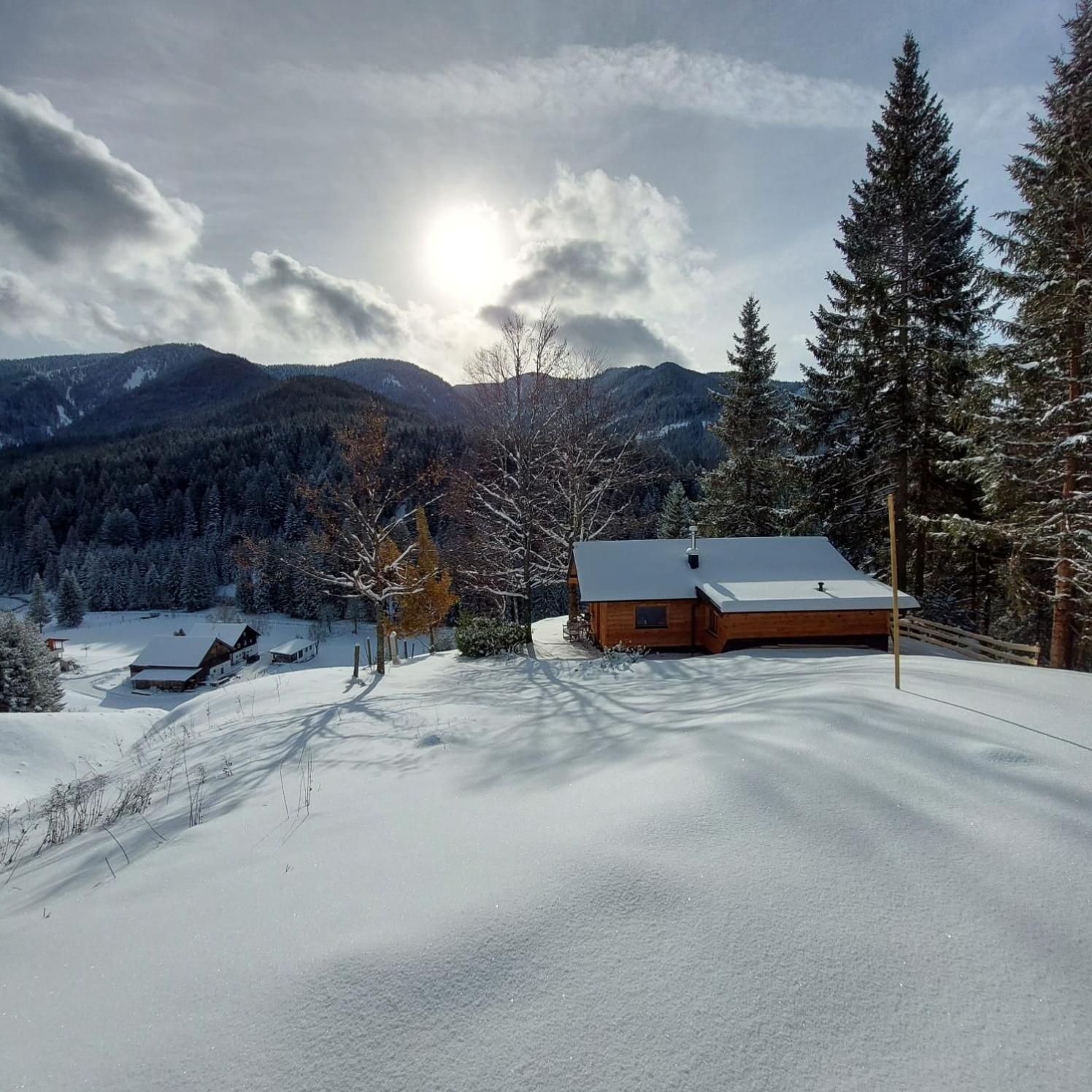 Huette Neuhaus Villa Annaberg im Lammertal Eksteriør billede