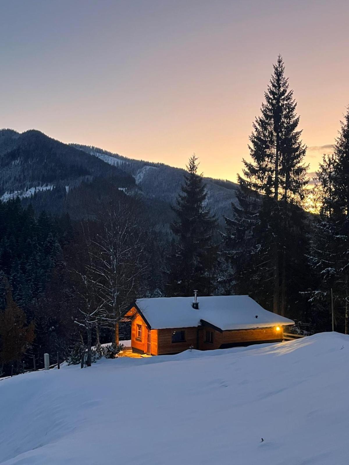 Huette Neuhaus Villa Annaberg im Lammertal Eksteriør billede