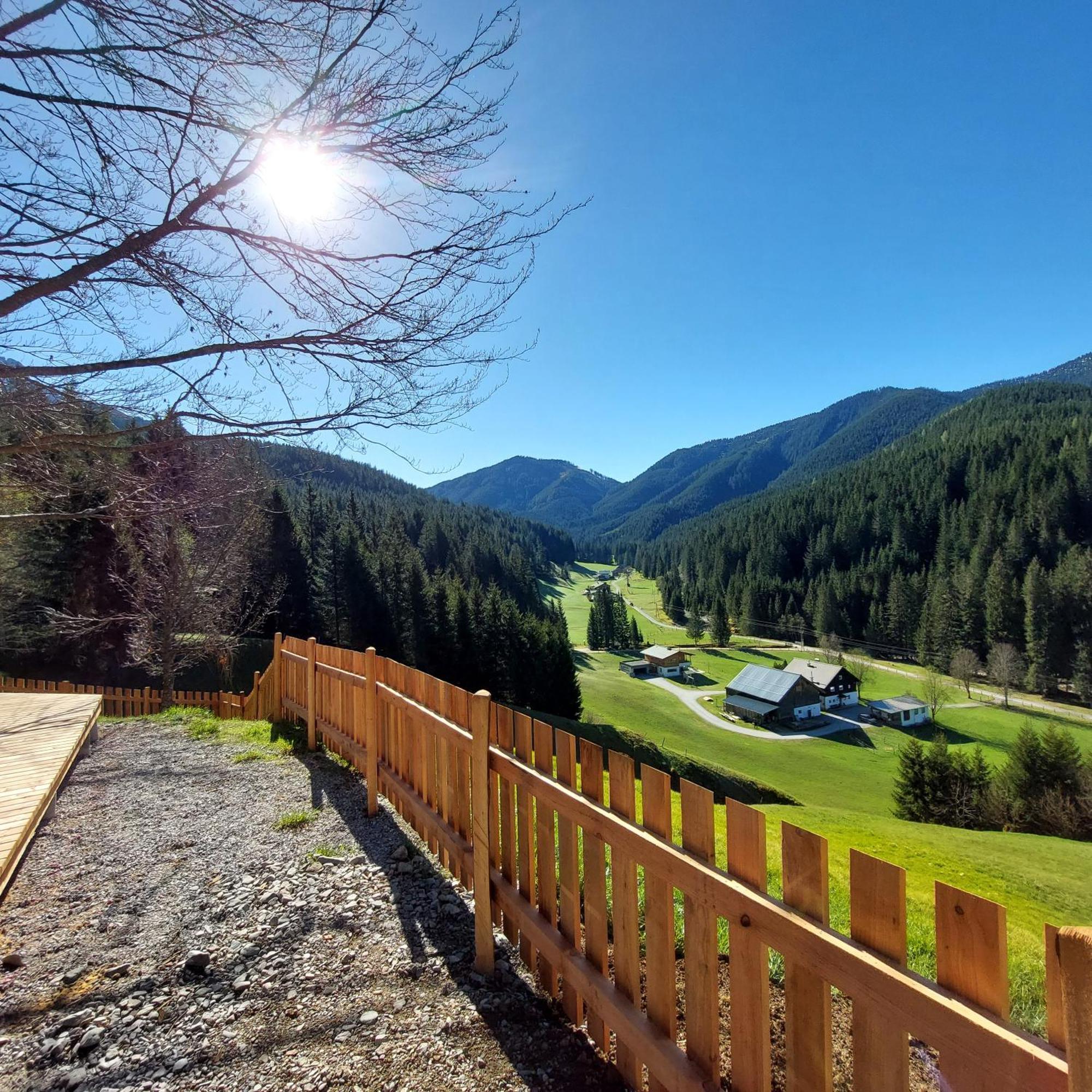 Huette Neuhaus Villa Annaberg im Lammertal Eksteriør billede