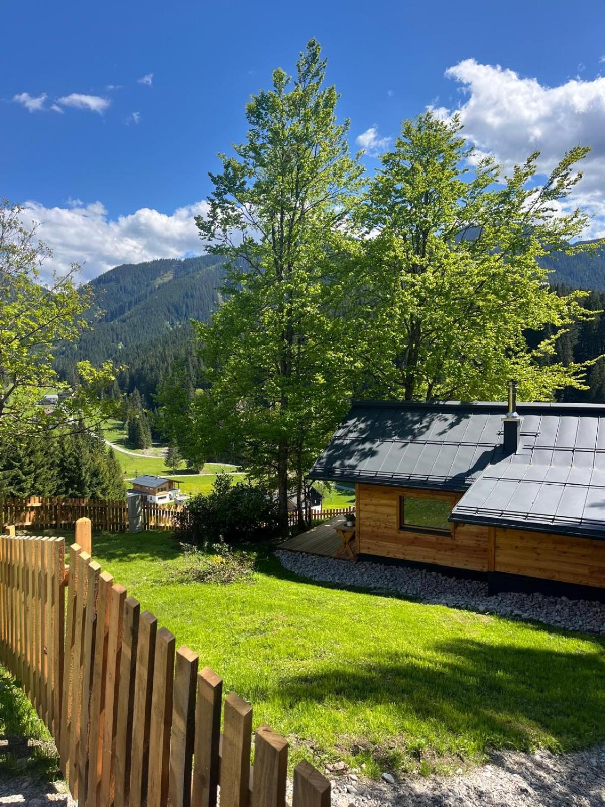 Huette Neuhaus Villa Annaberg im Lammertal Eksteriør billede