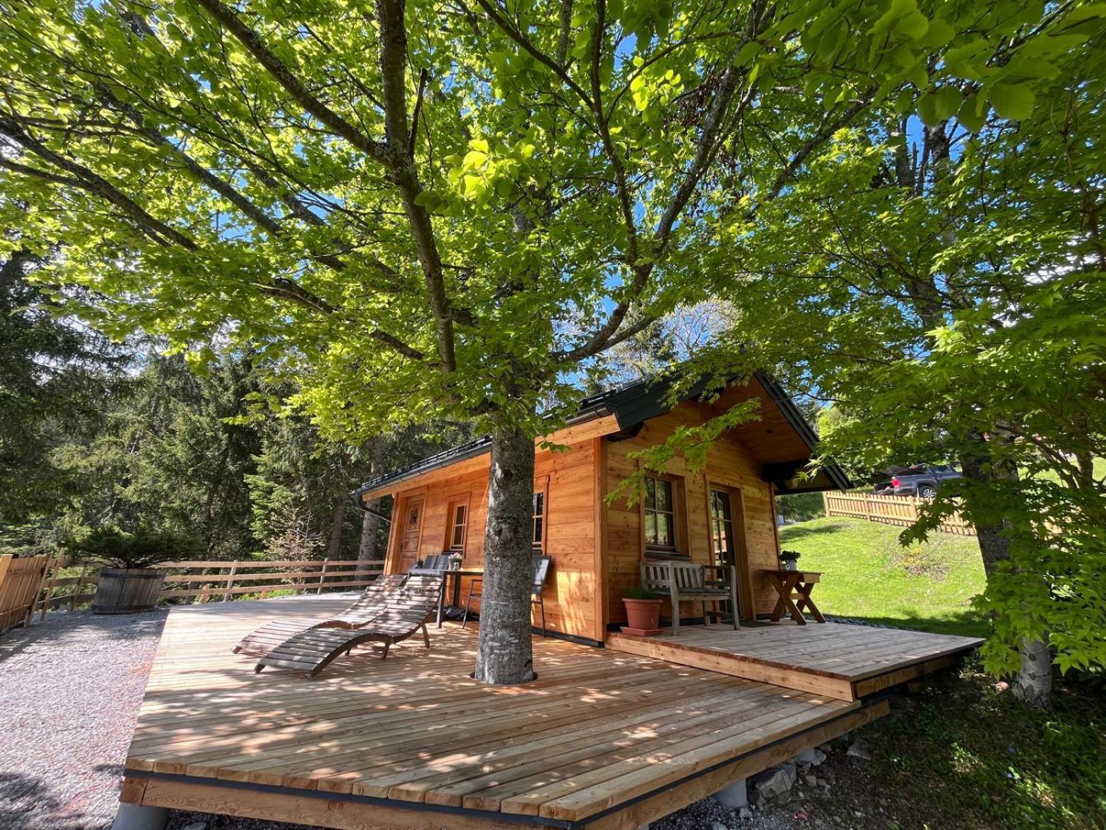 Huette Neuhaus Villa Annaberg im Lammertal Eksteriør billede